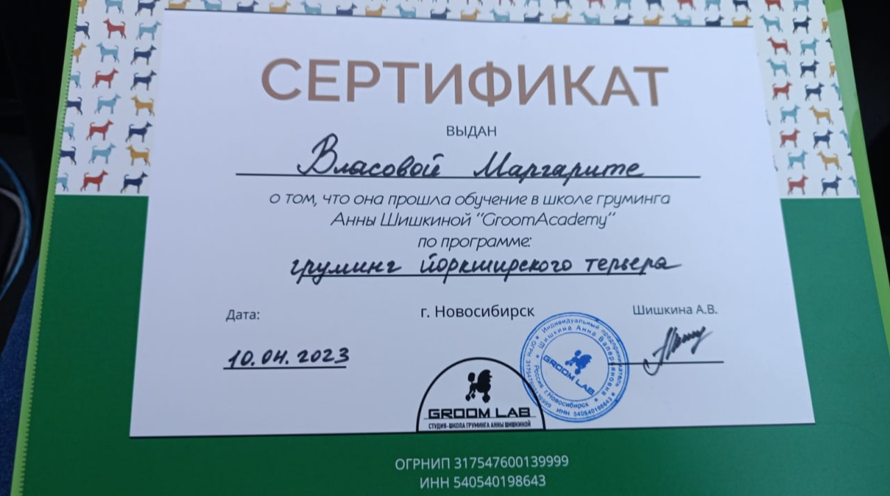 Сертификат грумера Маргариты Власовой 2023г